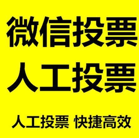 大庆市投票活动拉票能被查出来吗？如何操作能不被发现？